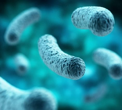 Close-up 3D visualisation of rod-shaped bacteria on a blue microscopic background.